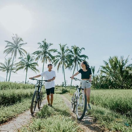 Dukuh Sebatu Villa Ubud Tegallalang  Eksteriør billede